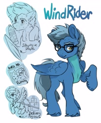 Size: 3369x4096 | Tagged: safe, artist:opalacorn, derpibooru import, oc, oc only, oc:windrider, pegasus, pony, commission, glasses, male, name, simple background, solo, stallion, sweat, unshorn fetlocks, water bottle, white background, wing hold, wings