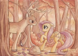 Size: 6802x4928 | Tagged: safe, artist:the-wizard-of-art, derpibooru import, fluttershy, deer, pegasus, pony, g4, absurd resolution, antlers, basket, buck, bush, cloven hooves, duo, duo male and female, female, flower, folded wings, forest, looking at each other, looking at someone, male, mare, nature, outdoors, profile, raised hoof, raised leg, side view, stag, tail, traditional art, tree, unshorn fetlocks, watercolor painting, whitetail deer, whitetail woods, wings