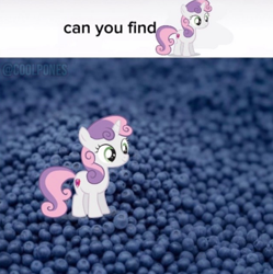 Size: 562x564 | Tagged: safe, derpibooru import, edit, sweetie belle, pony, unicorn, g4, blueberry, female, filly, foal, food, horn, impossible, meme, obligatory pony, shitposting, solo, wat