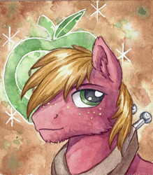 Size: 2178x2490 | Tagged: safe, artist:the-wizard-of-art, derpibooru import, big macintosh, earth pony, pony, g4, big macintosh's yoke, ear fluff, ears, freckles, high res, horse collar, looking at you, male, solo, stallion, traditional art, watercolor painting, yoke