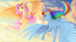 Size: 7200x4000 | Tagged: safe, artist:thenornonthego, derpibooru import, fluttershy, rainbow dash, pegasus, pony, g4, absurd resolution, cloud, cute, duo, duo female, eyebrows, female, flying, large wings, long mane, long tail, looking at each other, looking at someone, mare, open mouth, open smile, outdoors, rainbow trail, sky, smiling, smiling at each other, spread wings, sternocleidomastoid, tail, windswept mane, wings
