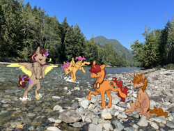 Size: 2133x1600 | Tagged: safe, artist:telesto, derpibooru import, scootaloo, oc, oc only, oc:blazing beams, oc:coffee, oc:hors, oc:justinaloo, earth pony, pegasus, unicorn, eyes closed, forest, goggles, horn, jumping, mountain, nature, photo, river, rock, sitting, smiling, splash, spread wings, stream, tree, washington, water, wings