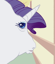 Size: 540x627 | Tagged: safe, artist:bishopony, derpibooru import, part of a set, rarity, pony, unicorn, g4, female, fisheye lens, hoers, horn, looking at you, looking back, looking back at you, mare, meme, perspective, ponified, ponified animal photo, ponified meme, solo