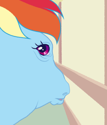 Size: 540x627 | Tagged: safe, artist:bishopony, derpibooru import, part of a set, rainbow dash, pegasus, pony, g4, female, fisheye lens, hoers, looking at you, looking back, looking back at you, mare, meme, perspective, ponified, ponified animal photo, ponified meme, solo