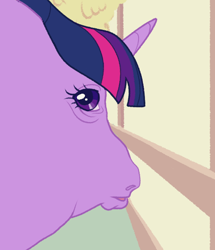 Size: 540x627 | Tagged: safe, artist:bishopony, derpibooru import, part of a set, twilight sparkle, pony, unicorn, g4, female, fisheye lens, hoers, horn, looking at you, looking back, looking back at you, mare, meme, perspective, ponified, ponified animal photo, ponified meme, solo