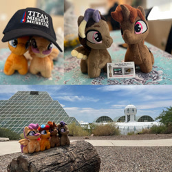 Size: 894x894 | Tagged: safe, derpibooru import, oc, oc only, oc:blazing beams, oc:coffee, oc:hors, oc:justinaloo, arizona, biosphere 2, photo, plushie, titan missile museum