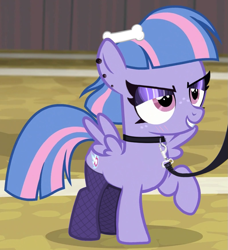 Size: 795x870 | Tagged: safe, artist:gean, derpibooru import, edit, edited screencap, screencap, wind sprint, pegasus, pony, g4, angry, blushing, clothes, collar, eyeshadow, female, filly, fishnet clothing, fishnet stockings, foal, hairclip, leash, makeup, pet play, solo, stockings, thigh highs