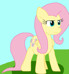 Size: 921x981 | Tagged: safe, artist:cmara, derpibooru import, fluttershy, pegasus, g4, female, solo