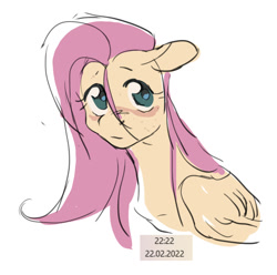 Size: 904x897 | Tagged: safe, artist:poselenets, derpibooru import, fluttershy, pegasus, pony, g4, 2022, ears back, female, freckles, looking at you, loose hair, mare, simple background, solo, white background, wings