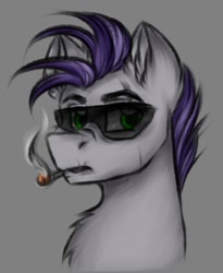 Size: 587x716 | Tagged: safe, artist:darklight1315, derpibooru import, oc, oc only, oc:botcher, earth pony, pony, fallout equestria, cigarette, fallout equestria: mayday, gray background, simple background, smoking, solo, sunglasses