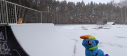 Size: 3264x1464 | Tagged: safe, artist:kuba18i, derpibooru import, rainbow dash, scootaloo, pegasus, pony, g4, duo, duo female, female, irl, outdoors, photo, plushie, poland, ponies around the world, ponies in real life, pony plushie, ramp, skate park, snow, sosnowiec