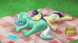 Size: 1900x1061 | Tagged: safe, artist:eltanin14d, artist:eltanin_hane, derpibooru import, bon bon, lyra heartstrings, sweetie drops, earth pony, pony, unicorn, g4, butt, duo, duo female, female, horn, lying down, mare, on side, picnic blanket, plot, pony pillow, sleeping