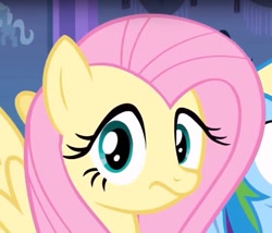 Size: 485x416 | Tagged: safe, derpibooru import, screencap, fluttershy, pony, g4, reaction image, solo