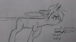 Size: 3859x2129 | Tagged: safe, artist:twigpaste, derpibooru import, oc, oc only, oc:auburn glow, pony, unicorn, behaving like a dog, ears back, grayscale, horn, monochrome, pencil drawing, pointing, sketch, solo, traditional art