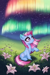 Size: 1048x1572 | Tagged: safe, artist:murny, derpibooru import, star swirl, earth pony, pony, g4, aurora, cute, female, flower, lily (flower), mare, night, plushie, smiling, solo, stars