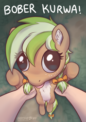 Size: 2480x3508 | Tagged: safe, artist:dandy, derpibooru import, oc, oc only, oc:sylvia evergreen, beaver, human, pony, :p, braid, braided pigtails, chest fluff, derp, ear fluff, ears, female, freckles, hair tie, high res, hoers, holding a pony, human pov, kurwa, mare, meme, offscreen character, pigtails, polish, ponified, ponified meme, pov, text, tongue, tongue out, vulgar