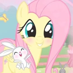 Size: 400x400 | Tagged: safe, derpibooru import, edit, screencap, angel bunny, fluttershy, pegasus, pony, rabbit, g4, :d, angelbetes, animal, blushing, cute, daaaaaaaaaaaw, female, grin, half body, happy, icon, looking at you, mare, open mouth, open smile, shyabetes, smiling, smiling at you, solo, wholesome