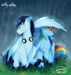 Size: 1240x1320 | Tagged: safe, artist:liliart1211, derpibooru import, rainbow dash, soarin', pegasus, pony, g4, background, cute, digital art, digital drawing, digital painting, duo, duo male and female, female, looking at each other, looking at someone, love, lovely, male, rain, shipping, smiling, smiling at each other, soarindash, straight