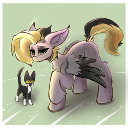 Size: 3600x3600 | Tagged: safe, artist:gooseshit, derpibooru import, oc, oc only, oc:tlen borowski, cat, pegasus, pony, chest fluff, collar, ear piercing, female, mare, partially open wings, passepartout, piercing, raised hoof, raised leg, solo, standing, wings