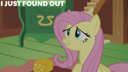 Size: 2000x1125 | Tagged: safe, derpibooru import, edit, edited screencap, editor:quoterific, screencap, fluttershy, pegasus, pony, dungeons and discords, g4, season 6, female, fluttershy's cottage (interior), mare, solo