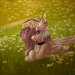 Size: 2500x2500 | Tagged: safe, artist:n3tt0l, derpibooru import, oc, oc only, alicorn, chamomile, ear piercing, earring, floral head wreath, flower, jewelry, looking at you, necklace, piercing, solo, sunset