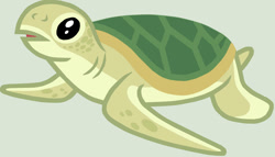 Size: 1181x677 | Tagged: safe, artist:twidashfan1234, derpibooru import, edit, edited screencap, screencap, g4, green background, not a vector, sea turtle, simple background, solo