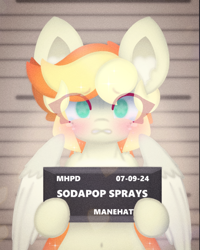 Size: 1080x1349 | Tagged: safe, artist:sodapop sprays, derpibooru import, oc, oc only, oc:sodapop sprays, pegasus, pony, semi-anthro, barbie mugshot meme, belly, belly button, chest fluff, crying, ear fluff, ears, guilty, jail, manehattan, meme, mugshot, solo, wide eyes