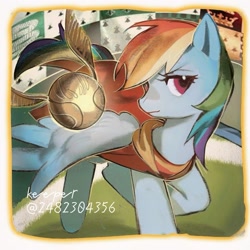 Size: 1280x1280 | Tagged: safe, artist:sunsetshimmer0808, derpibooru import, rainbow dash, pegasus, pony, g4, aside glance, female, field, golden snitch, harry potter (series), looking at you, mare, quidditch, snitch, solo, text