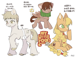 Size: 4000x3000 | Tagged: safe, artist:aki, derpibooru import, earth pony, pegasus, pony, unicorn, chilchuck tims, chinese, clothes, coin, dungeon meshi, female, horn, laios touden, male, marcille donato, mare, ponified, scarf, simple background, species swap, stallion, text, unshorn fetlocks, white background