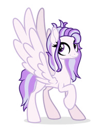 Size: 828x1024 | Tagged: safe, artist:rarityflower, derpibooru import, oc, oc only, oc:princesa loveburst, pegasus, pony, base used, eyelashes, large wings, long mane, long tail, looking up, offspring, parent:oc:fashibulyty, parent:oc:princess chryssa, parents:oc x oc, pegasus oc, purple eyes, raised hoof, raised leg, shadow, simple background, slender, smiling, solo, spread wings, standing, standing on three hooves, tail, thin, two toned mane, two toned tail, white background, wings