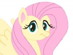 Size: 1280x960 | Tagged: safe, artist:hofdawn, derpibooru import, fluttershy, pegasus, female, looking at you, mare, solo