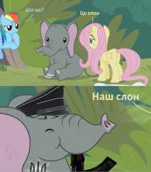 Size: 575x652 | Tagged: safe, derpibooru import, edit, edited screencap, screencap, fluttershy, rainbow dash, elephant, pegasus, pony, g4, she talks to angel, animal, based, cyrillic, duo, duo female, female, gun, op is a cuck, op is trying to start shit, text, translation request, ukraine, ukrainian, weapon