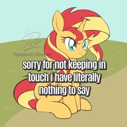 Size: 1920x1920 | Tagged: safe, artist:theratedrshimmer, derpibooru import, sunset shimmer, pony, unicorn, g4, caption, female, horn, meme, sitting, solo, text