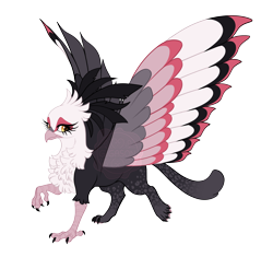 Size: 4900x4600 | Tagged: safe, artist:gigason, derpibooru import, oc, oc only, oc:secret tarry, bird, griffon, secretary bird, beak, bipedal, cat tail, chest fluff, coat markings, colored chest fluff, colored claws, colored wings, colored wingtips, commission, eye markings, facial markings, female, golden eyes, gradient tail, head fluff, long eyelashes, looking back, multicolored wings, raised claw, raised leg, simple background, solo, spread wings, tail, transparent background, watermark, wings