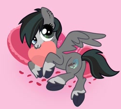 Size: 831x748 | Tagged: safe, artist:doodlesinky, derpibooru import, oc, oc only, oc:inky doodles, pegasus, bed, blaze (coat marking), coat markings, comfy, ear piercing, facial markings, g4 style, heart, heart pillow, hearts and hooves day, heterochromia, holiday, leg fluff, looking at you, nom, nonbinary, nose piercing, petals, piercing, pillow, solo, unshorn fetlocks, valentine, valentine's day