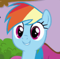 Size: 565x552 | Tagged: safe, derpibooru import, screencap, rainbow dash, pegasus, pony, g4, blue coat, bust, close-up, cropped, cute, dashabetes, episode needed, magenta eyes, multicolored hair, photo, rainbow hair, smiling, solo, wide eyes