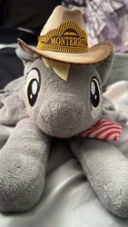 Size: 900x1600 | Tagged: safe, artist:sundzy, derpibooru import, derpy hooves, hat, mexican, photo, plushie, solo