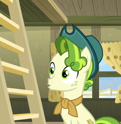 Size: 928x949 | Tagged: safe, derpibooru import, screencap, pistachio, earth pony, pony, g4, cropped, green pony, hat, ladder, male, my little pony best gift ever, open mouth, solo, sweet acorn orchard, teenager, wide eyes, window