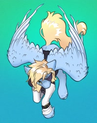 Size: 2670x3363 | Tagged: safe, artist:opalacorn, derpibooru import, oc, oc only, oc:blue skies, pegasus, pony, clothes, ear fluff, ears, eyepatch, gradient background, jacket, large wings, looking at you, male, narrowed eyes, partially open wings, solo, spread wings, stallion, tail, unshorn fetlocks, wings