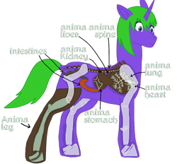 Size: 1400x1300 | Tagged: safe, artist:xada, derpibooru import, oc, oc only, pony, unicorn, amputee, anatomy, anatomy chart, arrow, blue eyes, bone, chart, eyelashes, green mane, green tail, heart (organ), horn, intestines, liver, lungs, missing cutie mark, organs, prosthetic leg, prosthetic limb, prosthetics, purple coat, rimworld, simple background, solo, spine, tail, text, transparent background, unicorn oc, x-ray