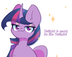 Size: 1200x950 | Tagged: safe, artist:miryelis, derpibooru import, twilight sparkle, alicorn, pony, female, looking at you, mare, meme, simple background, smiling, smug, solo, sparkles, text, white background