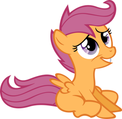 Size: 900x880 | Tagged: safe, artist:hombre0, derpibooru import, scootaloo, pegasus, pony, g4, female, filly, foal, simple background, sitting, solo, transparent background, vector