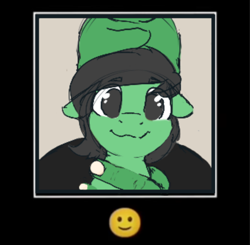 Size: 984x966 | Tagged: safe, artist:hazaplan, ponerpics import, oc, oc:anon, oc:anon filly, earth pony, human, pony, emoji, female, filly, foal, holding a pony, ponified animal photo