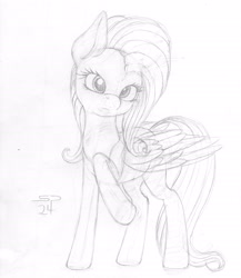 Size: 2000x2300 | Tagged: safe, artist:styroponyworks, derpibooru import, fluttershy, pegasus, pony, looking at you, raised hoof, raised leg, sketch, solo, traditional art