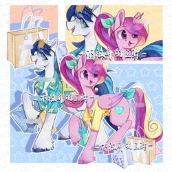 Size: 2000x2000 | Tagged: safe, artist:长海, derpibooru import, princess cadance, shining armor, alicorn, pony, unicorn, g4, bag, clothes, female, horn, husband and wife, male, mare, married couple, shirt, stallion, text