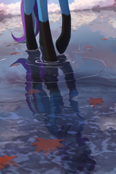 Size: 1836x2740 | Tagged: safe, artist:glumarkoj, derpibooru import, oc, oc only, oc:nyaa fox, pegasus, pony, crying, high res, leaves, male, reflection, scenery, solo, teardrop, walking, water