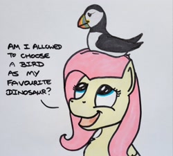 Size: 2048x1843 | Tagged: safe, artist:hoofclid, derpibooru import, fluttershy, bird, pegasus, pony, puffin, g4, bust, cute, dialogue, female, looking up, mare, marker drawing, open mouth, open smile, shyabetes, smiling, solo, traditional art