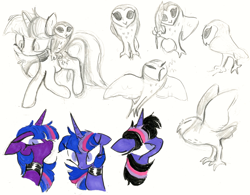 Size: 2048x1600 | Tagged: safe, artist:heartlurch, derpibooru import, owlowiscious, twilight sparkle, unicorn twilight, bird, owl, pony, unicorn, g4, choker, horn, simple background, traditional art, white background