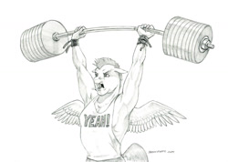 Size: 1280x911 | Tagged: safe, artist:baron engel, derpibooru import, bulk biceps, anthro, pegasus, g4, armpits, arms over head, barbell, black and white, clothes, grayscale, male, monochrome, muscles, muscular male, open mouth, pencil drawing, shirt, simple background, solo, spread wings, t-shirt, traditional art, weight lifting, weights, white background, wings, wristband, yeah