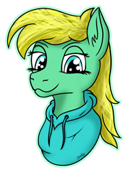 Size: 2591x3590 | Tagged: safe, derpibooru import, oc, oc only, pony, clothes, hoodie, simple background, solo, transparent background